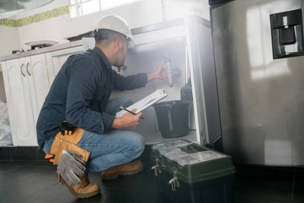 Best Clogged Drain Plumber  in Britt, IA