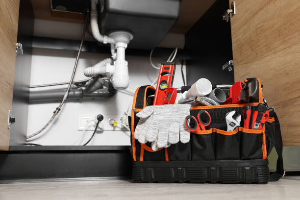 Best Commercial Plumbing Services  in Britt, IA