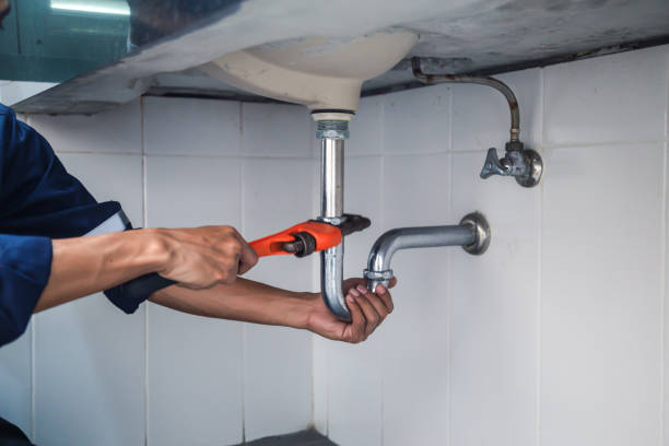 Best Commercial Plumbing Services  in Britt, IA