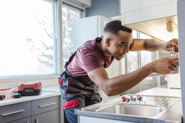 Best Local Plumber Services  in Britt, IA